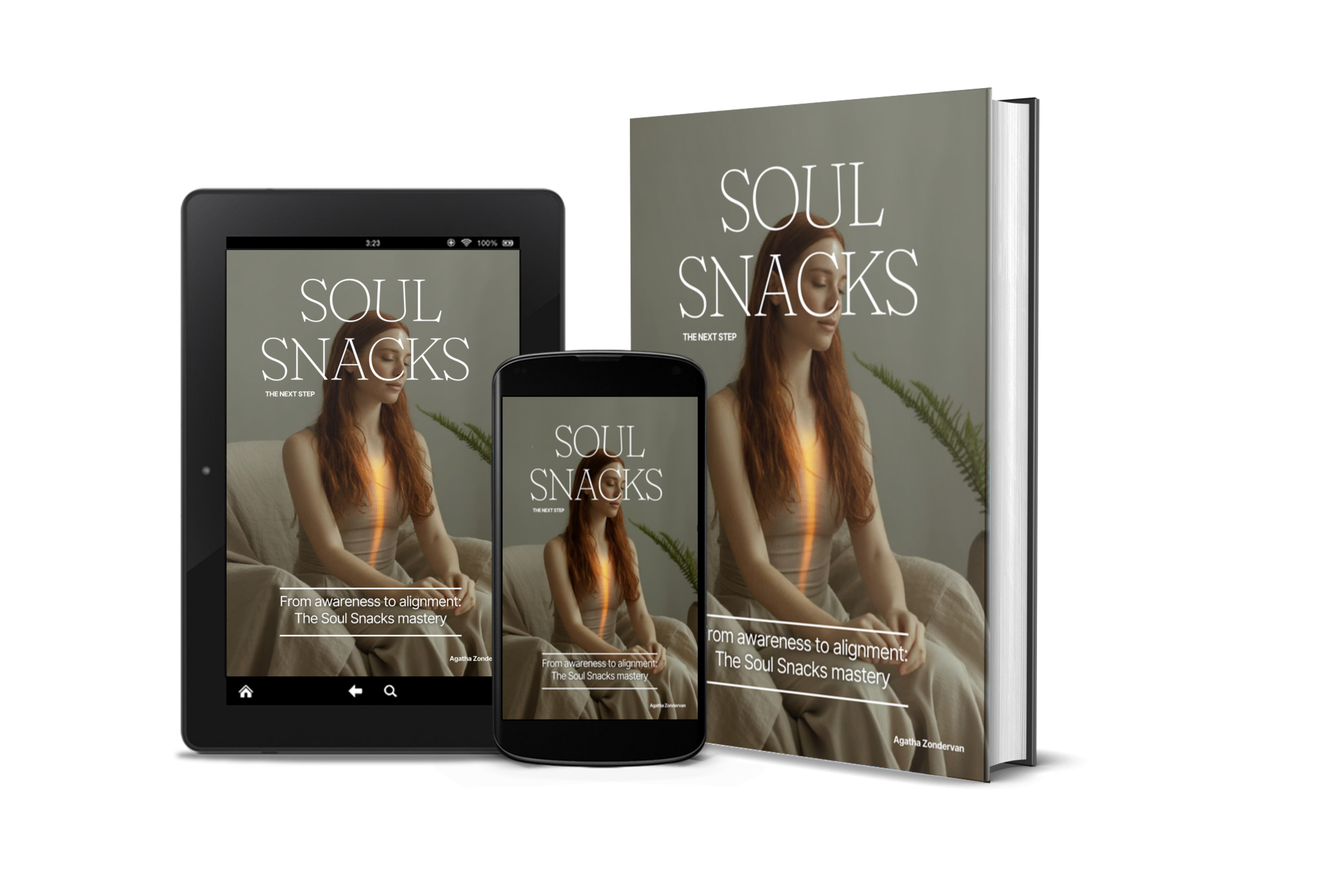Soul Snacks The Next Step